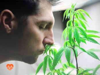 Детоксикация от марихуаны в Винсадах
